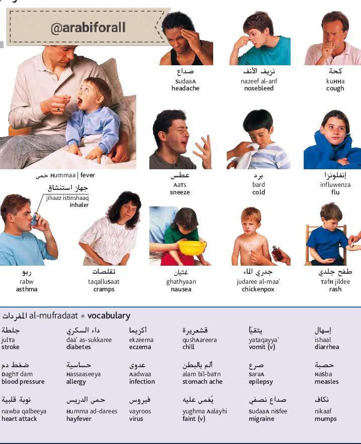دیکشنری عربی مصور معجم  قاموس  عربي